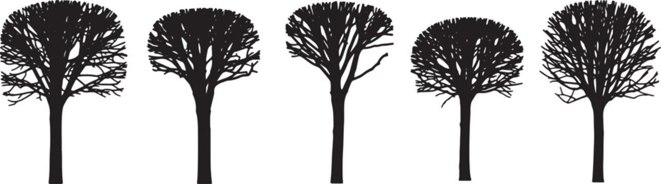 Black Solid Pollarded City Tree Silhouettes Set of Six on White Background