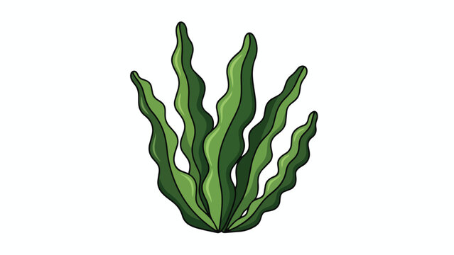 Vibrant green aquatic plant illustration, featuring flowing wavy fronds. Its two-tone shading stands out against a pure white background. Ideal for