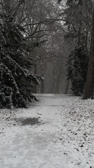 Winter park path leading through snow covered forest