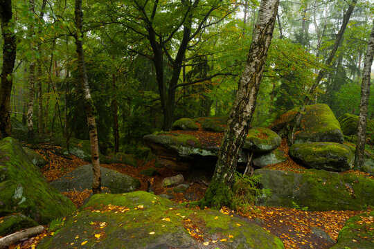 Felsgebilde Labyrinth bei dem Ort Langenhennersdorf, Stadt Bad Gottleuba-Berggie&szlig;h&uuml;bel, S&auml;chsische Schweiz, Landkreis S&auml;chsische Schweiz-Osterzgebirge, Sachsen, Deutschland