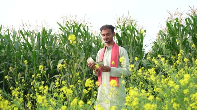 Young indian farmer counting cash or money at corn agriculture field