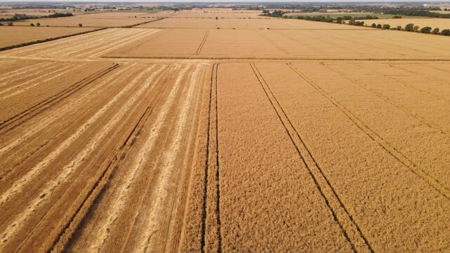 Minimalist 3D Gray Cloud Icon Symbol for Data Storage, Cloud Computing Technology, Network Service, or Weather Application Isolated on White Background