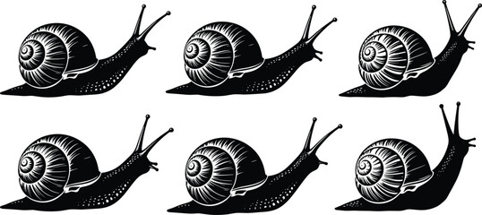 Black-and-white silhouette illustrations of snails with detailed spiral shells and textured bodies, perfect for nature design, educational projects, and vector artwork. © MD AMINUR