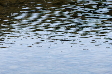 Obraz premium 強く吹く風で起こる川の波紋