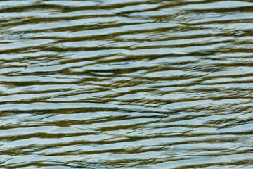 強く吹く風で起こる川の波紋