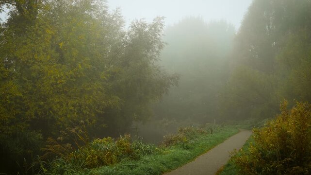 Foggy morning covering mysterious path through dense autumn forest. Drifting haze softening distant horizon awakening unknown emotions. Misty dawn veiling secret trail through thick fall woodland