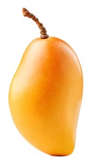 Mango fruit isolated on white background studio lighting sharp focus clean cut-out style commercial product stock image, Realistic Photo