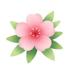 Fototapeta premium Pink Blossoming Flower With Green Leaves