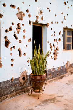 A potted snake plant stands against a bullet-riddled wall near a window and a doorway. Kigali, Rwanda