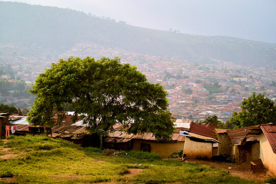 A lush green tree stands amid rustic homes with a sprawling cityscape in the background. Kigali, Rwanda