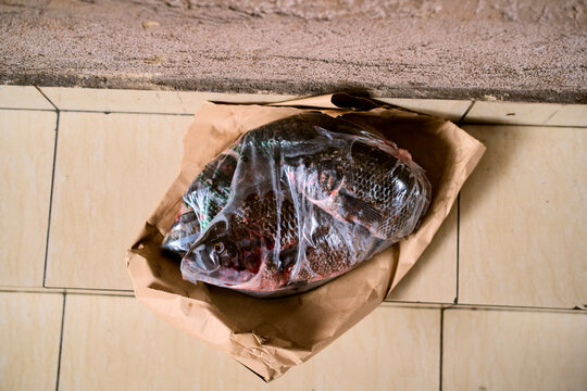 Fresh fish wrapped in a transparent plastic bag on brown paper, placed on tiled floor. Kigali, Rwanda