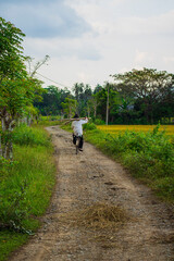 Man Riding Bicycle on Rural Dirt Road in Lush Tropical Countryside