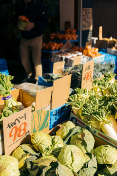 Fresh vegetables in a market display, cabbages and green produce in cardboard boxes. Tokyo, Japan