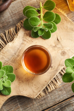 A bowl of Plectranthus or Coleus amboinicus syrup for common cold with fresh plant