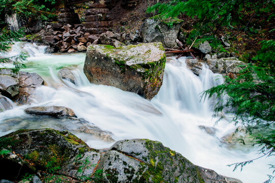 A serene forest stream flows over moss-covered rocks surrounded by lush green trees. Deception Falls, Pacific Northwest, WA, USA