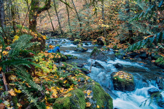 Woman relaxing in lush forest with vibrant autumn leaves and a flowing creek surrounded by moss-covered rocks. Washington State,,USA