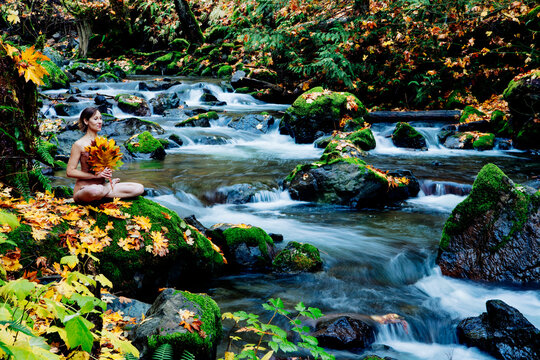 Woman sitting by a creek holding autumn leaves surrounded by lush green and orange foliage. Washington State,,USA