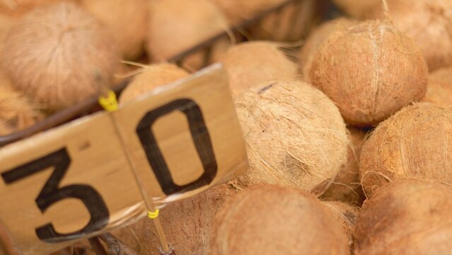 Closeup of coconuts in basket, detailed shot showcasing coconuts stored in metal basket illuminated warmly, an intricate closeup videograph capturing coconuts resting in metal basket bathed in warm