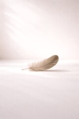 A soft white feather gently resting on a light surface with subtle shadows