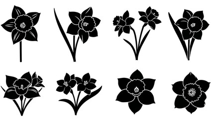 A collection of black and white daffodil silhouettes