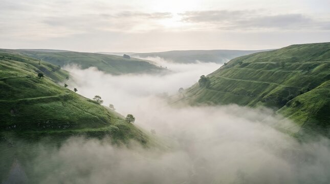 Green rolling hills valley enveloped in dense morning fog during sunrise with copy space for tranquil nature background or travel concept.
