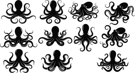 Collection of twelve octopus silhouette illustrations in black vector style, showcasing diverse tentacle arrangements and artistic designs for marine, ocean, and underwater themed projects © Abdullah