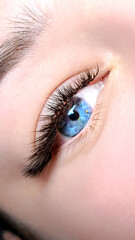 Obraz premium close up of eyelash extensions in beauty salon macro blue eye , l-curl