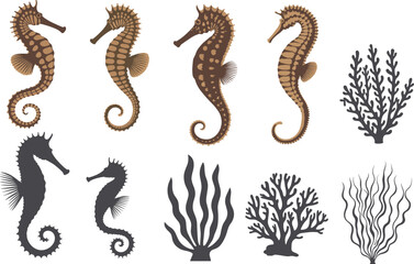 WebSet of vintage seahorse illustrations and coral reef silhouettes for nautical beach decor, marine life patterns, and underwater nature design elements, © Md