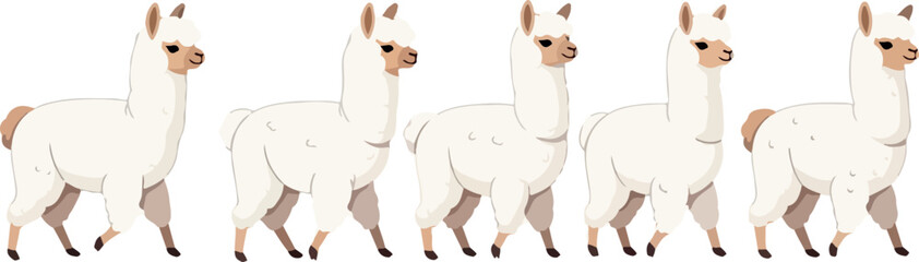 Obraz premium Illustration of llamas walking in a row from a side view showcasing their distinctive features and gentle expressions