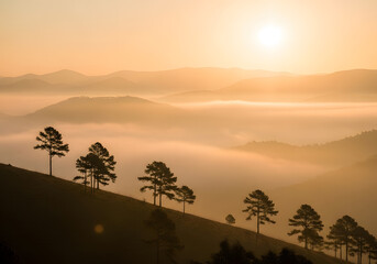 Breathtaking sunrise over misty mountains with silhouetted pine trees on a grassy hill during golden hour in a peaceful nature landscape