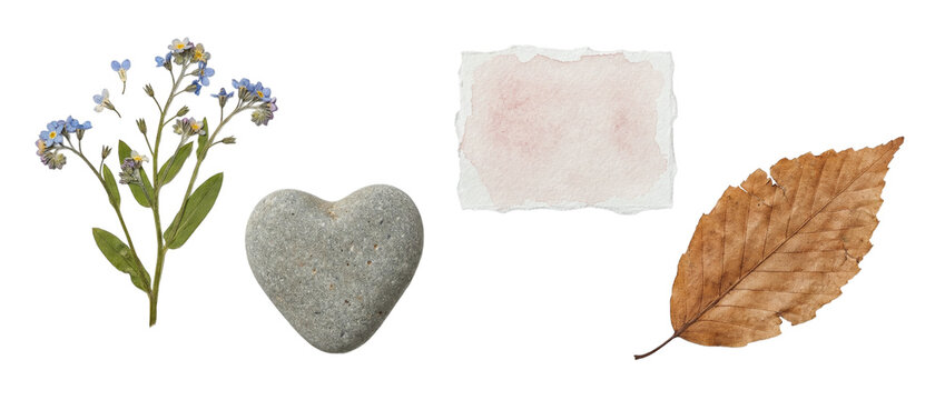 Blue forget-me-not flowers with a heart-shaped stone, soft pink watercolor paper piece and dried leaf, botanical collage elements on a transparent background.
