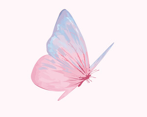 pink butterfly on white background
