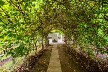 Fototapeta premium Kapias Botanical Garden in Goczałkowice-Zdrój, Poland
