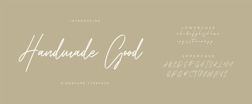 Hand drawn vector alphabet. Modern monoline signature script font. Elegant Signature Font. Best Alphabet Beautiful Calligraphy Signature Font
