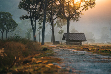 Naklejka premium Misty forest sunrise cabin countryside nature trees sunlight morning rural landscape wooden hut peaceful atmosphere foggy environment tranquil scenery with warm golden light through tall trees