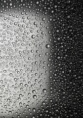 Fototapeta premium Abstract backdrop featuring countless water condensation drops on clear glass, reflecting light and creating a refreshing textured pattern ,wallpaper ,drop ,light