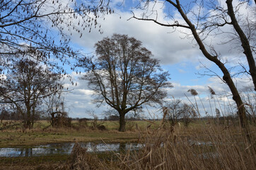 Biosph&auml;renreservat Spreewald L&uuml;bben im Februar