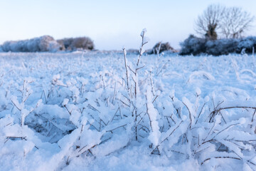 Paysage enneigés, Yves, Charente Maritime, France © jujud3100