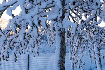 Paysage enneigés, Yves, Charente Maritime, France © jujud3100