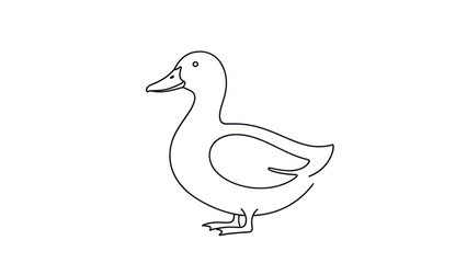 Fototapeta premium Minimalist line art of a duck on white background for design concepts