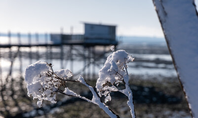 Carrelet enneigé de la Baie de Yves, Charente Maritime, France © jujud3100