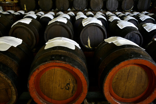 Botti di aceto Balsamico