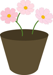 Fototapeta premium Pink Cosmos Flowers in Pot, Cute Potted Plant Illustration for Home Gardening and Spring Decor