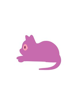 pressure popping animation of pet cat staring