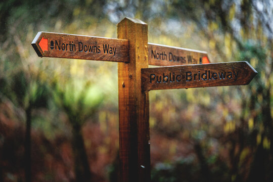Signpost on the North Downs Way and Public Bridleway hiking trail in the English countryside, United Kingdom