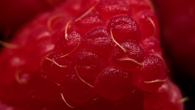 Soft light sweeps across a ripe red raspberry macro surface, revealing moist texture and glossy details. This static macro background is designed for food visuals and abstract design uses today.