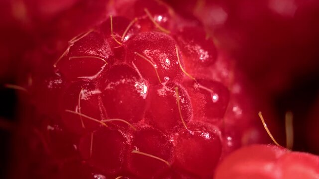 Light motion sweeps across a wet raspberry macro surface, highlighting juicy texture and reflective details. This abstract macro background works well for food advertising and visual design use.