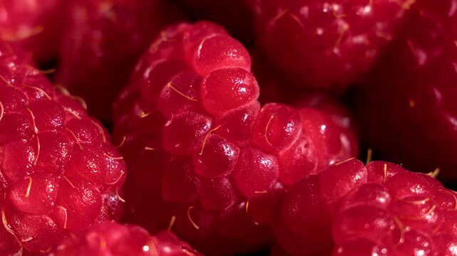 A slow zoom and focus transition bring red raspberry macro texture from blur into sharp detail. The rich natural surface fills the frame, ideal for food advertising, motion backgrounds, design use.