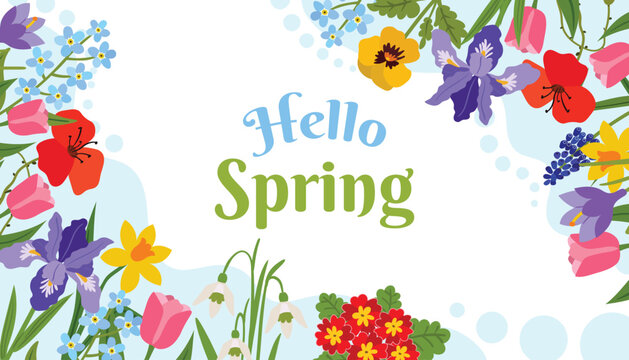 Spring greeting card with a colorful spring flowers and leaves, organic shapes and halftone dots framing the text Hello Spring. Narcissus, Poppy, Crocus, Snowdrop, Pansy, Iris, Tulip, Primrose.