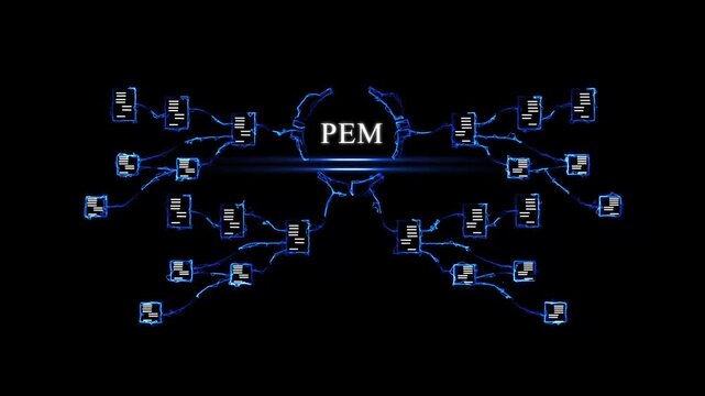 Modern Digital Network Concept with P E M Central and Surrounding PEM concept technology futuristic glowing business technology
